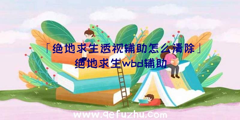 「绝地求生透视辅助怎么清除」|绝地求生wbd辅助